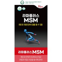 관절 연골 건강 영양제 MSM 1개월분 글루코사민 상어연골추출분말 함유, 1박스, 120정