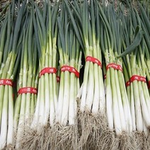 대파 손질대파 2kg 5900원, 1개, 2kg(1개)