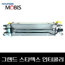 그랜드 스타렉스 인터쿨러 281904A481
