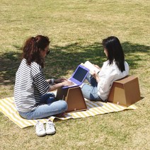 휴대용 종이 등받이의자, 메가토트2개입(묶음할인), 2개