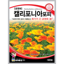 금영화 씨앗 500립 꽃씨