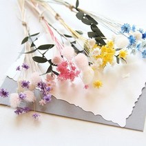 THEVOM 스타플라워&허니테일미니다발, 퍼플