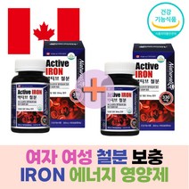 여성 여자 철분 부족 월경 생리 보충 IRON 에너지 생성 영양제 적혈구 구성 캐나다직수입 유아 아기 어린이 키즈 학생 청소년 20대 임산부 수유부 산소운반 철분제 추천 건강기능식품