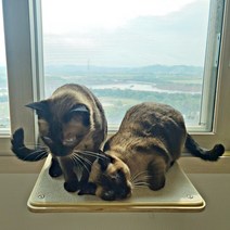 [펫502] 고양이 창틀캣워크 창문해먹, 창틀캣워크 대형, 크림