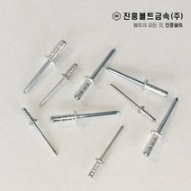 블라인드 리벳 브라인드 리베트 (알루미늄 스텐) 봉지 판매, 200개, 1.알루미늄, 3.2X11=200EA
