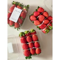 [윤당] 제철 프리미엄 특 2단 딸기 1+1 / 500g2팩 / 당일경매 신선배송 설향 죽향 금실 메리퀸 장희 500g / 1kg / 2kg, 설향+금실
