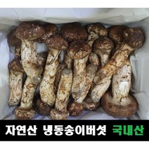 송이버섯 자연산 냉동 국내산, 1등급(7~12송이,크기랜덤) 500g, 1개