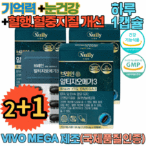 고3수험생 청소년기 실버 두뇌 영양제 x3박스 ginkgo 뇌혈관청소부 포스파티딜세린 하루한번, 3박스