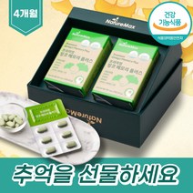 프리미엄 징코플러스 은행잎추출물 플라보놀배당체 나이아신 판토텐산 아연 비타민B2 면역력 활력비타민 플라보노이드 은행나무추출물 은행잎추출물영양제 징코라이드 브레인푸드