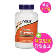 나우푸드 식물 효소 240정 프로테아제 락타아제 라파아제