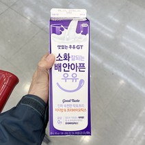 남양유업 GT 소화잘되는 배안아픈 저지방 우유 900ml x 3개, 아이스보냉백포장