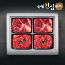 농협안심한우 혼합4호 선물세트 1.2kg (등심2팩/불고기2팩)