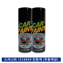일신 일신카페인트 스프레이 스카니아 진청색(1516939)