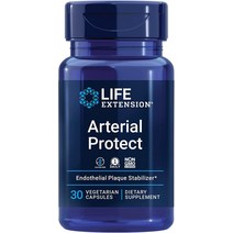 아테리얼 프로텍트 30정 피크노제놀 100mg 효능 라이프익스텐션 Arterial Protect 고투콜라 소나무껍질 추출물 고약사 약들약, 기본