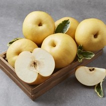 [딜맛] 청실농원 고당도 남양주 먹골배 7.5kg (7~11과)가정용, 단품