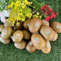 [맛나과일] 제스프리 썬 골드키위 로얄대과/점보사이즈 10과 15과, 점보대과 15과