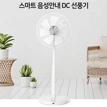 이노크아든 초절전 3W 써큘레이터형 스마트 음성안내 DC 선풍기, 선풍기 이노크DC 14인치 IA-D145TW