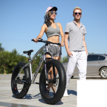 올라운더 명품전기자전거 도시자전거 산악용 배달용, 상세 페이지 참고, 21단 그레이