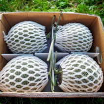 GAP인증 레드멜론 추석 메론 멜론 선물세트 고당도, 1박스, 4.5kg(3-4수)