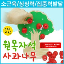 창의적 사고력 원목 자석 사과나무 놀이 목각 교구 상상력 발달 근육발달 집중력향상 어린이집 유치원 대량주문 판촉물