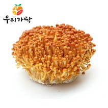 [우리가락]황금송이버섯 10개 한박스, 단품
