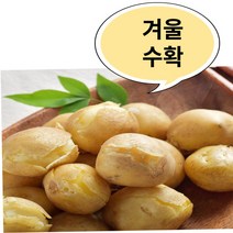 특가)햇감자 수미감자 탁박감자 강원도감자 3kg(중) 계란크기, 감자(대)요리용(100g~ 180g)5kg