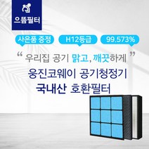 AP-1004AH필터 웅진코웨이공기청정기호환필터, 단품