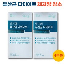 벨기에 유산균 다이어트 트리플러스 체지방감소 가르시니아 분말 가루 스틱, 77g, 2개