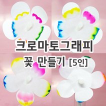 크로마토그래피 꽃만들기 (5인) 모세관현상 실험