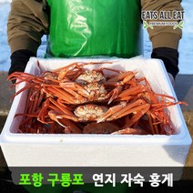 이츠올릿 포항 구룡포 연지 자숙 홍게 4kg 울산 영덕 박달 대게 대구 울진 홍개, 박달급_4kg 10미 (수율 80%내외), 1개