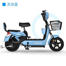 2인승 전기자전거 48V 20ah 자녀통학 장보기 나들이, 스카이블루