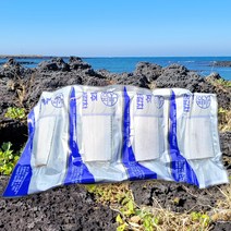 제주 명품 은갈치 제주갈치 갈치살 특산품 갈치조림 갈치구이, 300g 2마리(8팩)