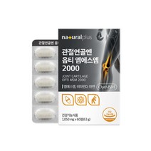 플러스 관절연골앤옵티엠에스엠2000 60정 순도 99.
