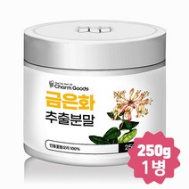 금은화 추출분말 가루 250g, 250g 1통