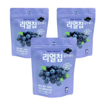 산마을 리얼칩 블루베리, 20g, 15개