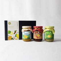 제주가 키운 과일차 3종 선물세트 1호 과일청 답례품 750g, 1개