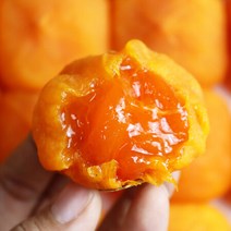 쫄깃하고 부드러운 청도 반건시 선물세트 10입 2박스, 청도반건시 10입 2박스, 상세페이지 참조