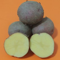 포슬포슬 카스테라 홍감자(찜 혼합 조림), 5kg(조림소), 1개