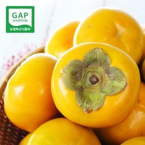 [생산자직송] 창원 부유 단감 5kg, (소) 5kg