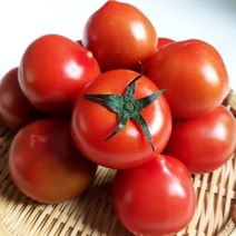 쥬스용토마토 찰토마토 당뇨에좋은과일 완숙토마토 3kg 5kg, 정품 완숙 토마토 3kg