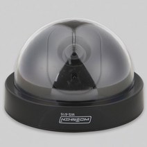 일신전기조명 CCTV 모형감시카메라 WS-654 동작감지LED 녹화기, 1개