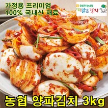 해남 농협 양파김치 3kg 전라도김치, 1개