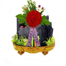 한반도농원 C25. 장미초미니(동색) 카네이션 숯분재 생일선물 답례품 체험학습용, 1개