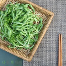나물투데이 생 돌나물 1kg 1개 국내산 돗나물 돈나물