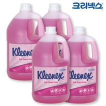 크리넥스 핸드워시 폼 솝 그린플로럴향 4L x 4개 richpot10*2436261Th, 1, 본상품선택