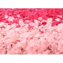 Led 빨간색 장미 이벤트소품 결혼기념일 고백 화동, 1. 스칼렛