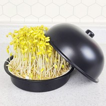 리빙큐큐 가정용 교육용 콩나물재배기+햇콩나물콩 선택주문, 01.콩나물재배기+국산햇콩나물콩