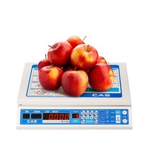 카스 음성식 과일 선별기 60kg 복숭아 포도 자두 배 사과 감 천해향 한라봉 단호박 FS-Plus250 선과기 단수선별 포장갯수선별, FS-PLUS 250