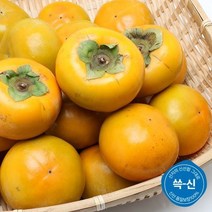 쓱신 산지직송 창원 북면 단감 5kg(21-23과)