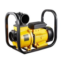 농업 관개 대용량 엔진펌프 2인치 원심 하수 진흙배수, DSU/50/2인치/ 2.2KW/220V